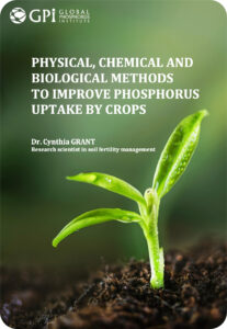 crop phosphorus efficiency methods – Global Phosphorus Institute